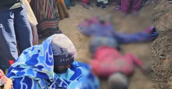 हजारीबाग में हाथियों का कहर! 3 दिन में 2 किसानों की मौत, गांवों में दहशत का माहौल